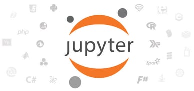 Jupyter logo