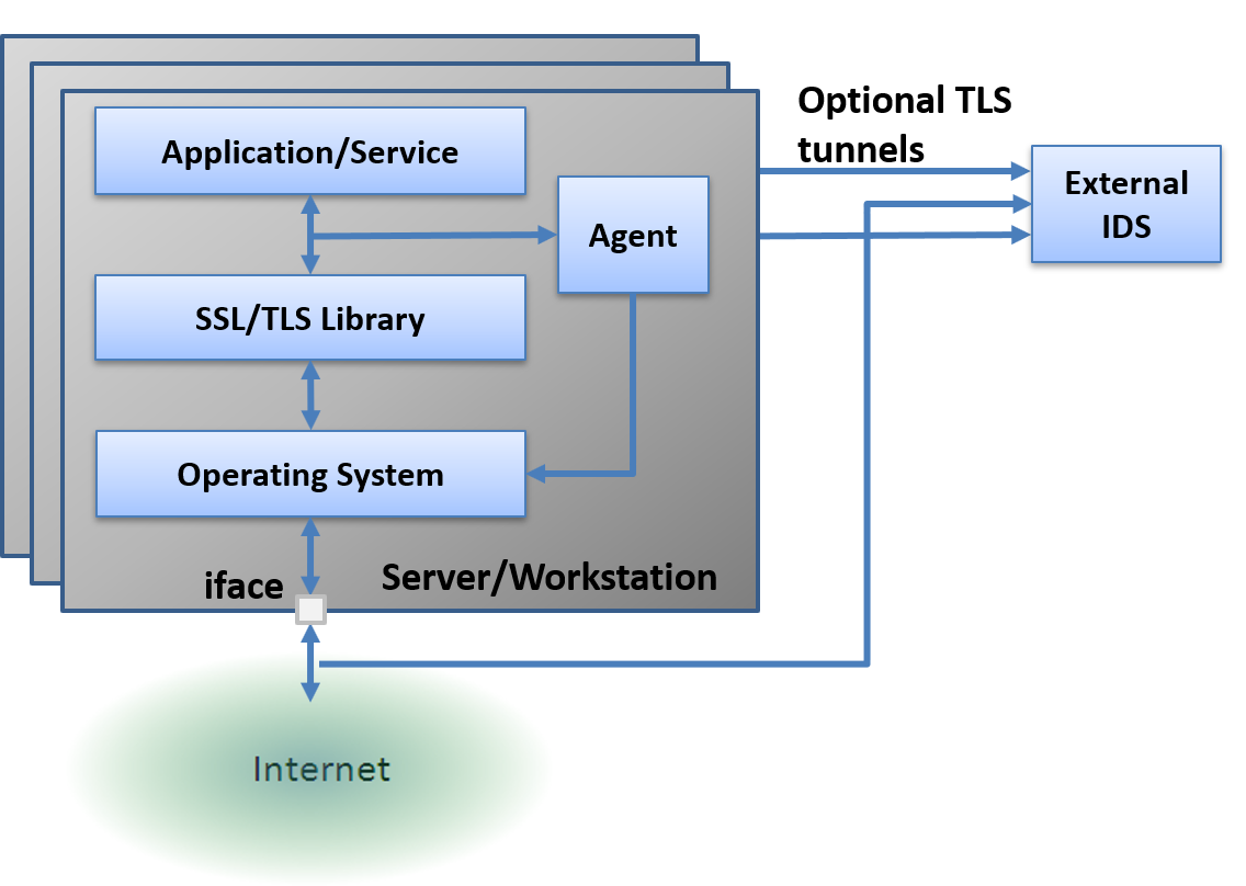 Cloud-based passive TLS mirroring