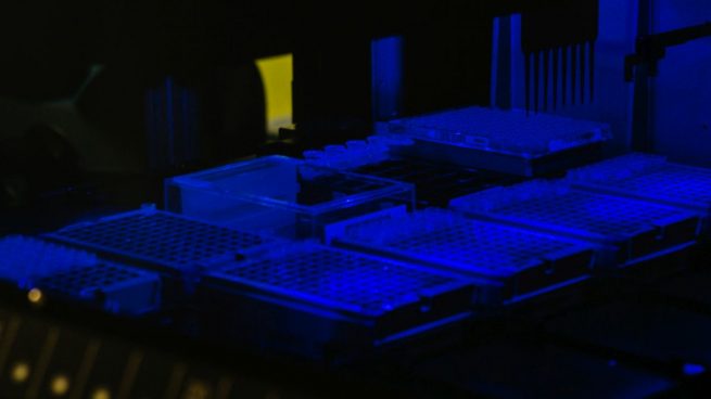 adaptive biotech image with rows of trays