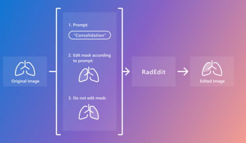 On the left is a simple drawing of the lungs. The drawing shows the borders of the left and right lung as well as the trachea and the left and right main stem bronchi. The text under the drawing reads: Original image. To the right of the drawing are the 3 additional inputs of RadEdit. They are arranged vertically. On top there is an example editing prompt. It reads 