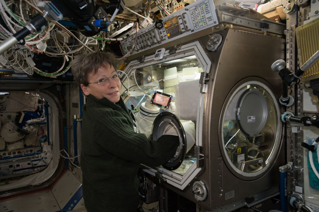 An astronaut works with a glovebox experiment aboard the International Space Station. She stands in front of the enclosed equipment, reaching her hands into glove ports to manipulate materials inside the chamber.