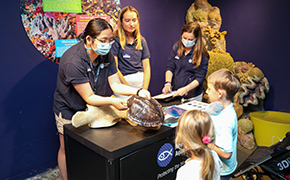 Educators talk to young visitors