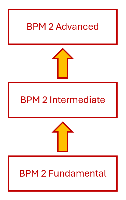 BPM Structure