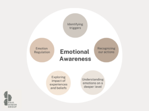 emotional awareness diagram