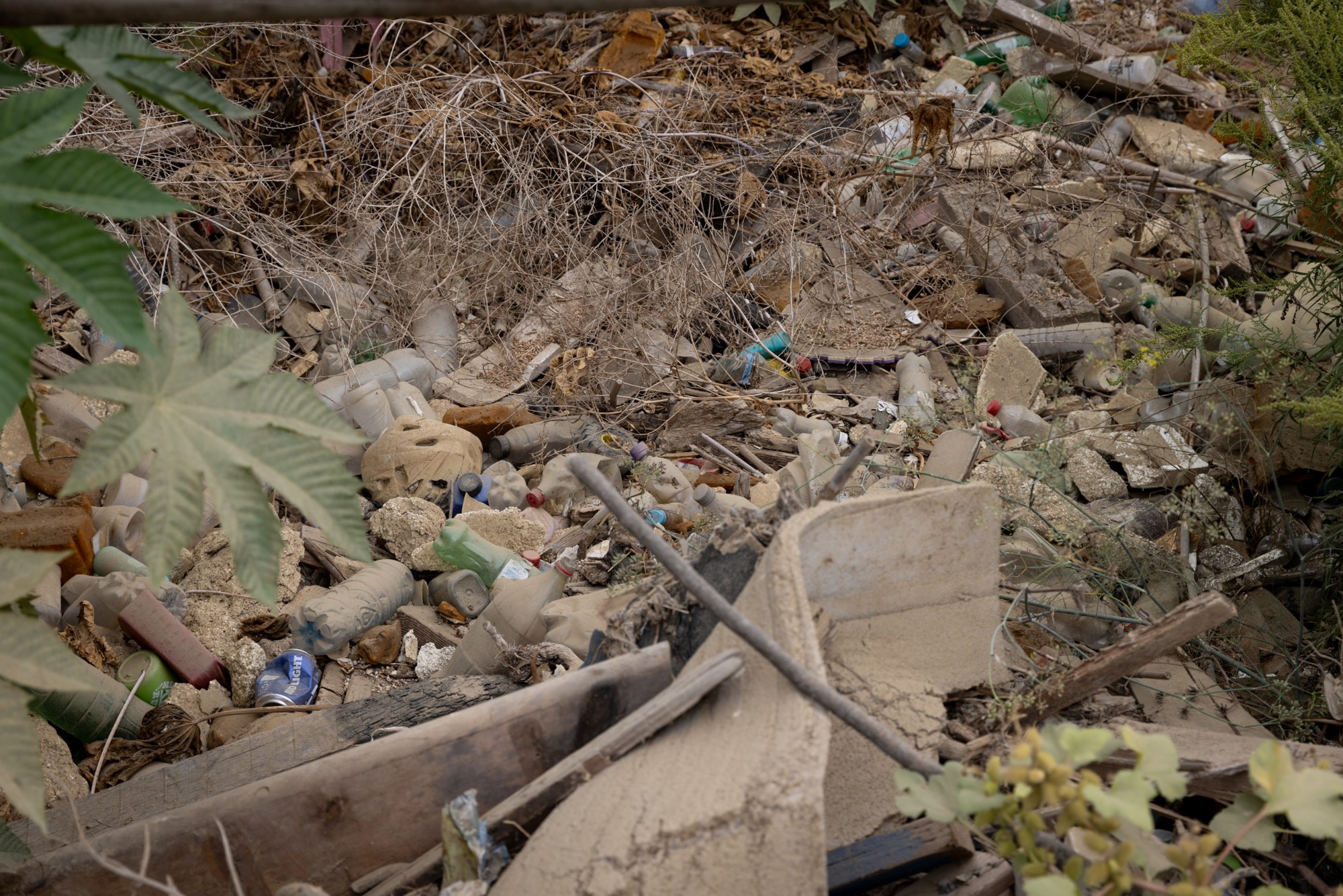 Trash in the Tijuana River Valley on Friday, Oct. 4, 2024 in San Diego, California. (Ana Ramirez / The San Diego Union-Tribune)