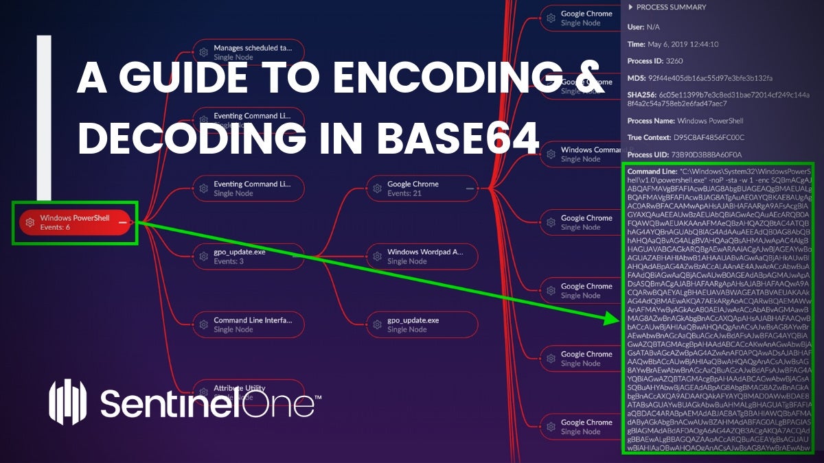 Base64 Decode and Encode - Featured Image | SentinelOne