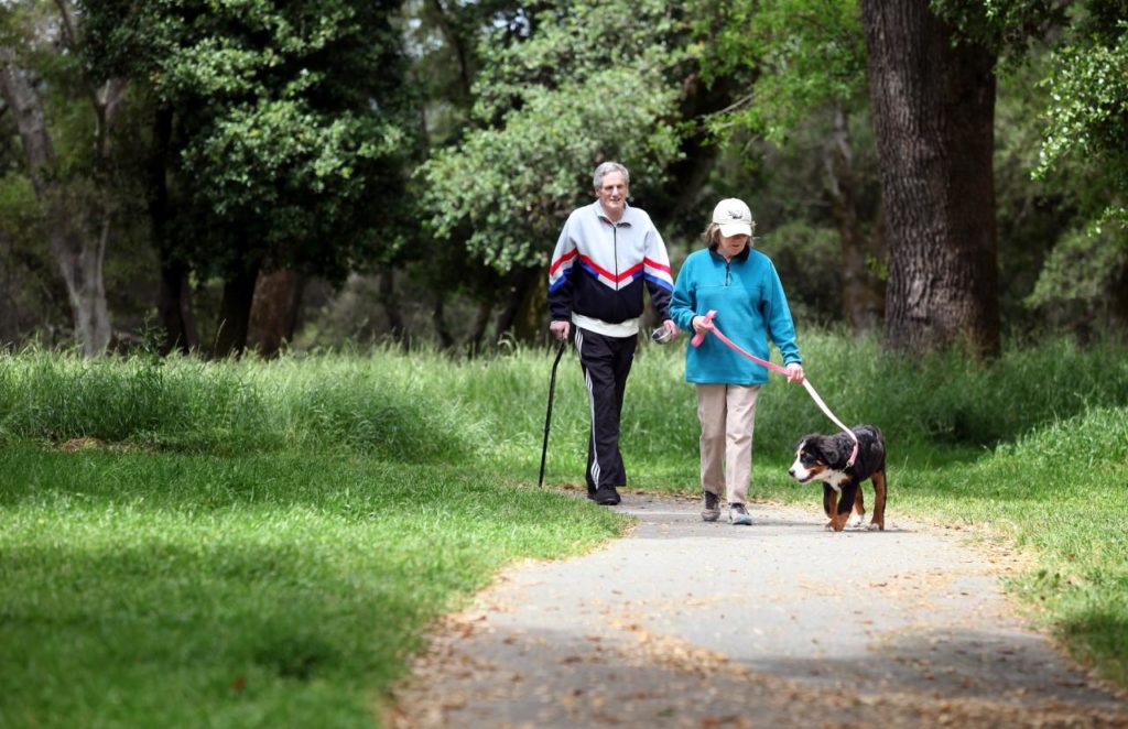 Ragle Ranch Park in Sebastopol. This park has tree-shaded picnic tables, hiking trails, sports fields, tennis courts and a dog-run area. Plus, the Sebastopol park is generally free of large crowds. (Christopher Chung / The Press Democrat)