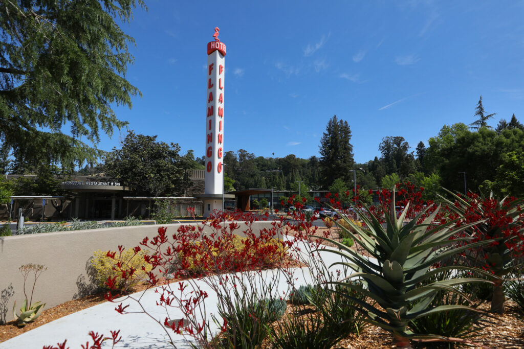 The Flamingo Resort in Santa Rosa on Thursday, May 13, 2021. (Christopher Chung/ The Press Democrat)