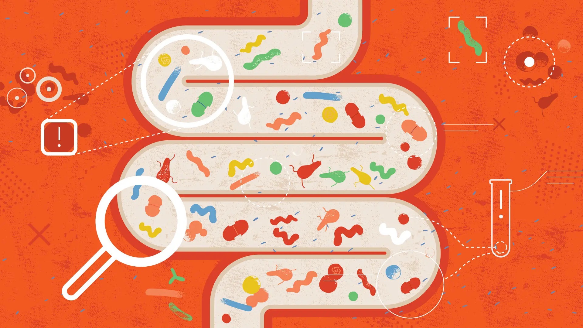 iStock illustration of the intestine and the microbiome inside