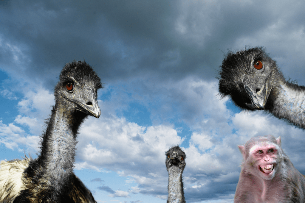 South Carolina Has an Escaped Emu Problem (On Top of That Monkey Thing)