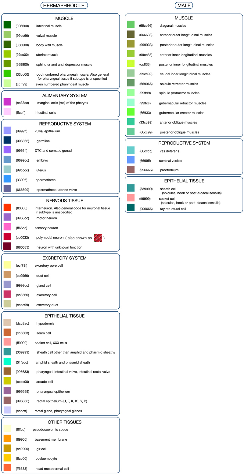 Color code guide